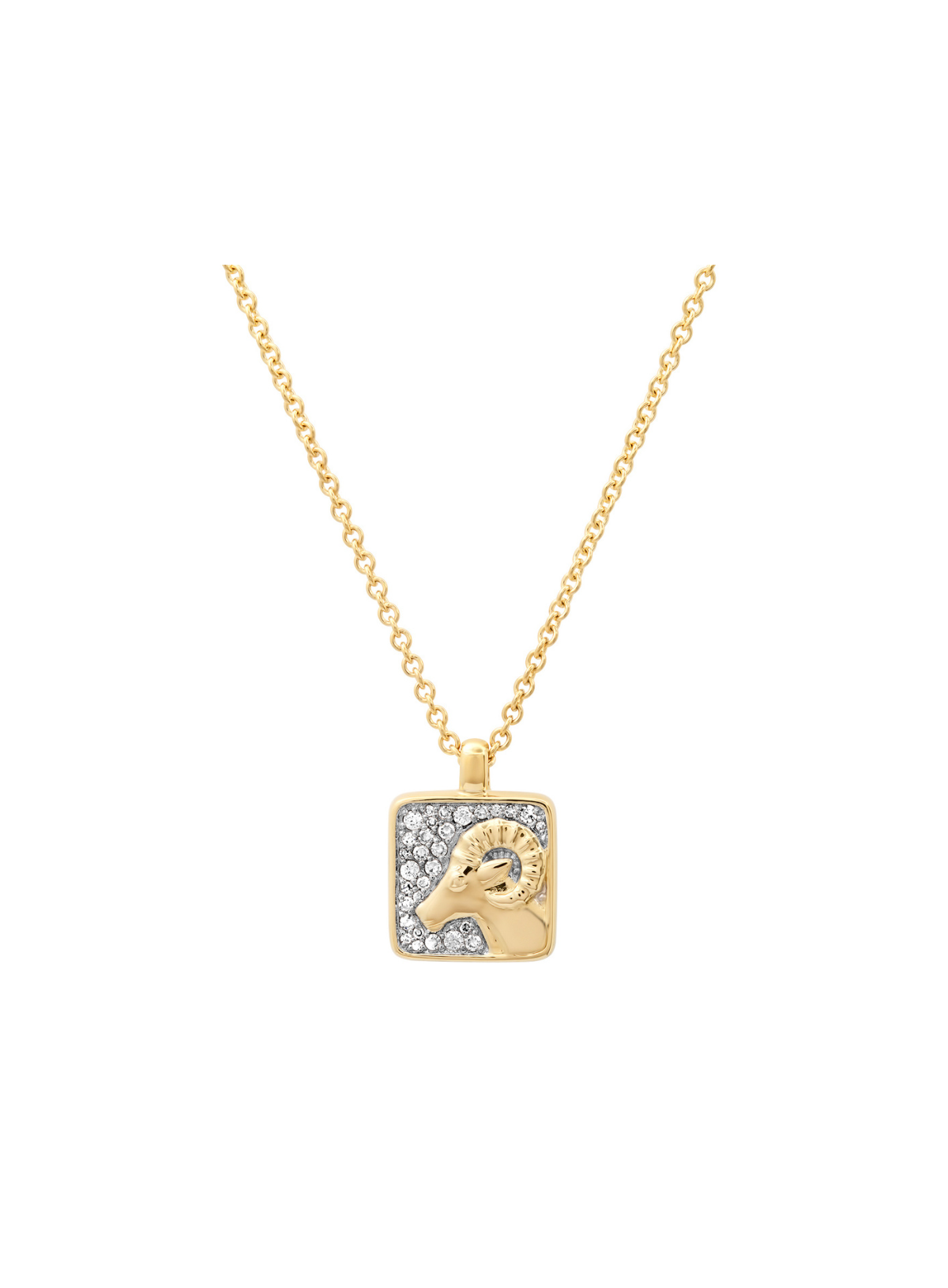 Zodiac Necklace