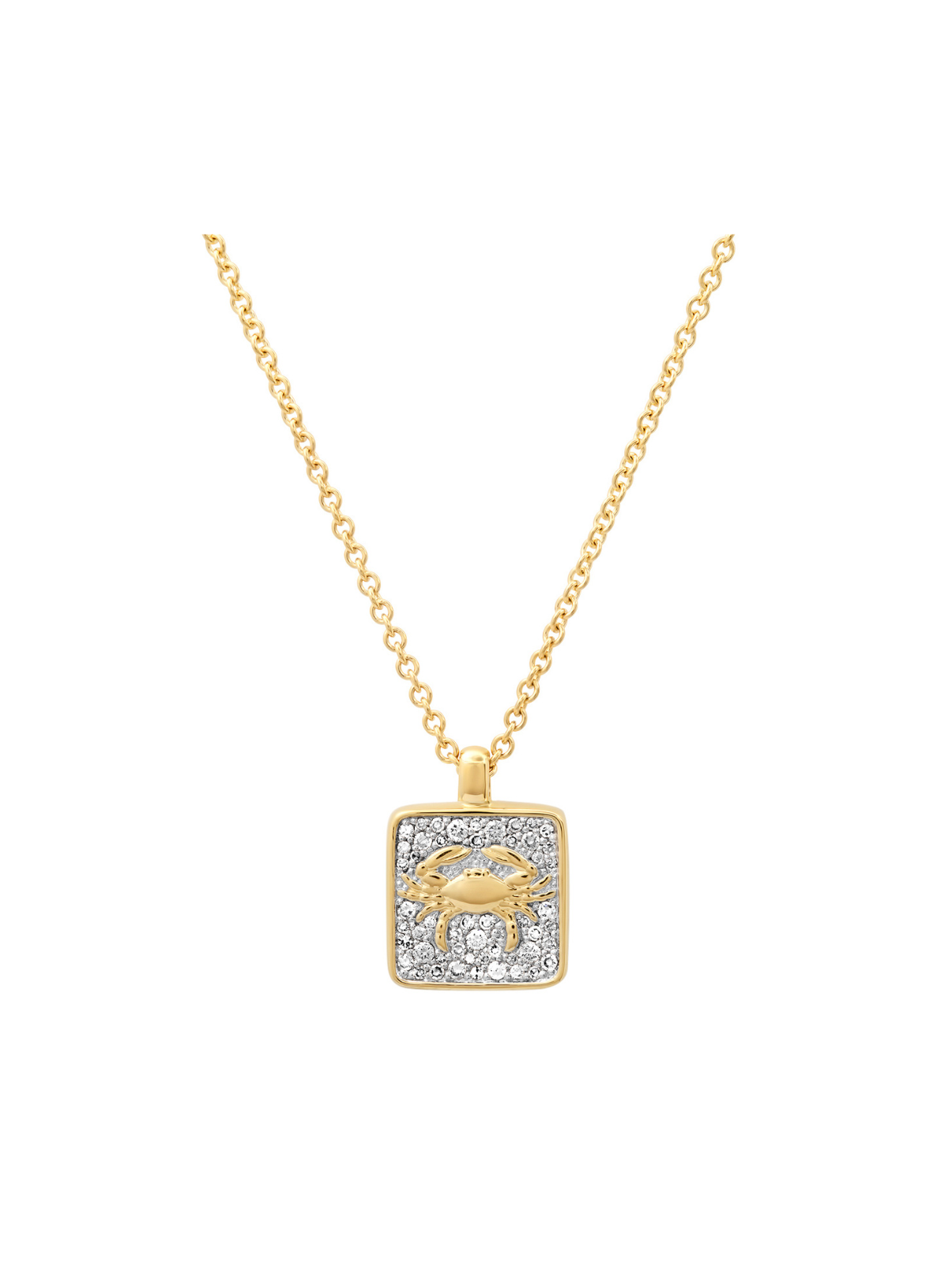 Zodiac Necklace